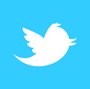twitter newbird boxed whiteonblue